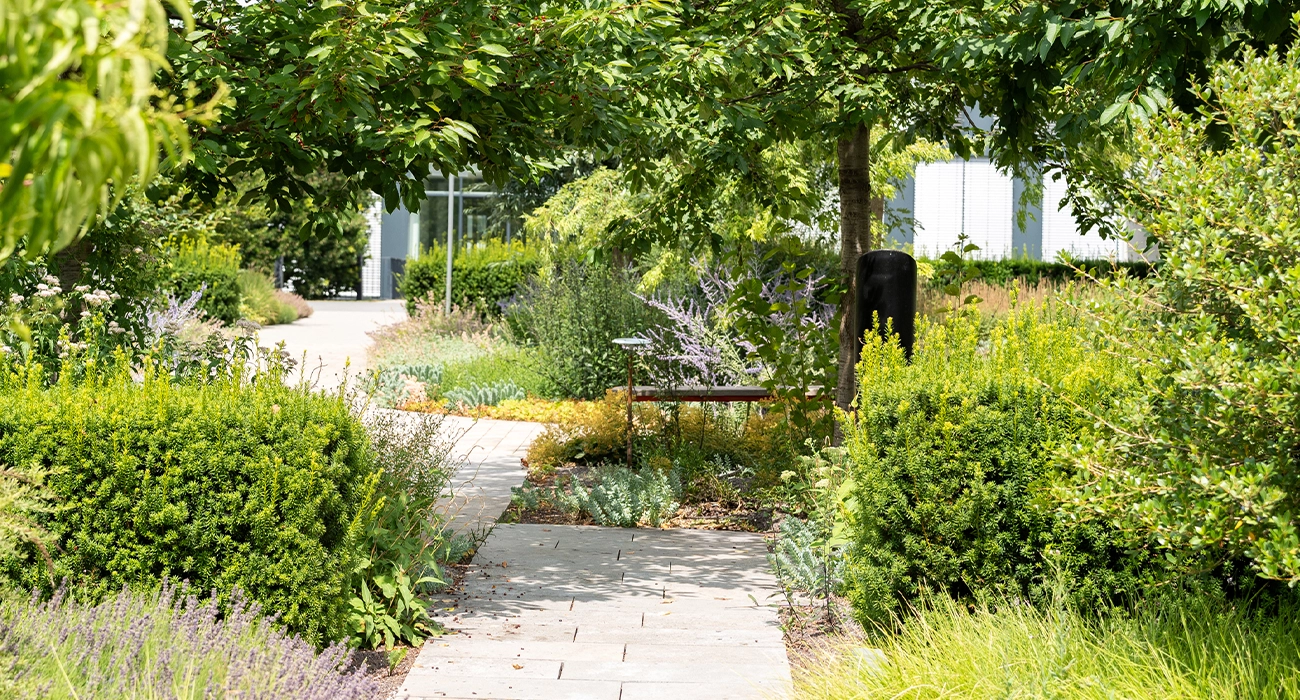 A paved path through a small green space.